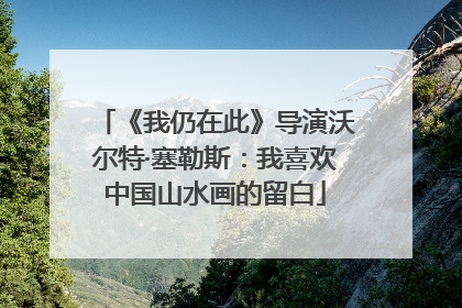 《我仍在此》导演沃尔特·塞勒斯：我喜欢中国山水画的留白
