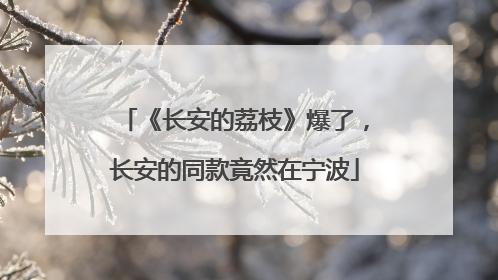 《长安的荔枝》爆了，长安的同款竟然在宁波