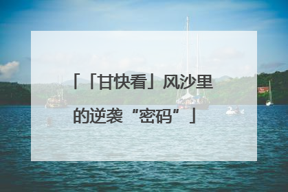 「甘快看」风沙里的逆袭“密码”