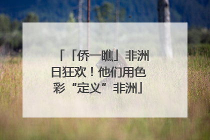 「侨一瞧」非洲日狂欢！他们用色彩“定义”非洲
