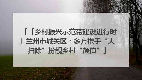 「乡村振兴示范带建设进行时」兰州市城关区：多方携手“大扫除”扮靓乡村“颜值”