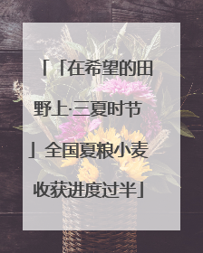 「在希望的田野上·三夏时节」全国夏粮小麦收获进度过半