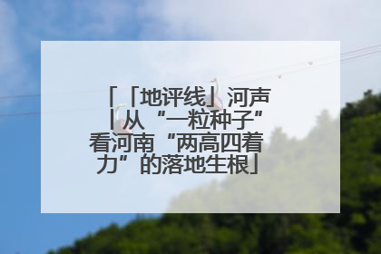 「地评线」河声丨从“一粒种子”看河南“两高四着力”的落地生根