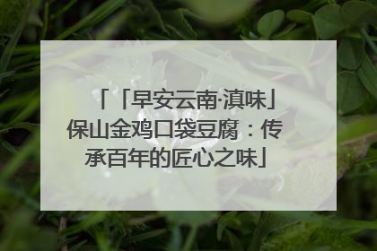 「早安云南·滇味」保山金鸡口袋豆腐：传承百年的匠心之味