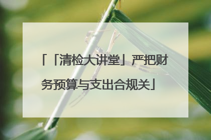 「清检大讲堂」严把财务预算与支出合规关