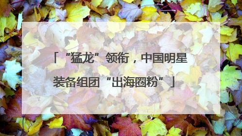 “猛龙”领衔，中国明星装备组团“出海圈粉”