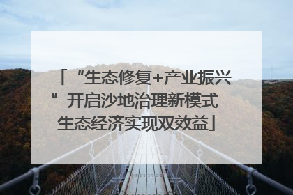 “生态修复+产业振兴”开启沙地治理新模式 生态经济实现双效益