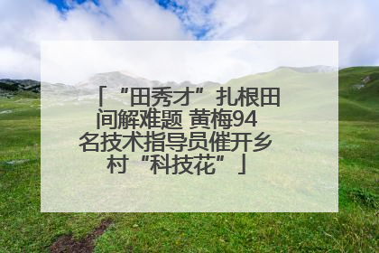 “田秀才”扎根田间解难题 黄梅94名技术指导员催开乡村“科技花”