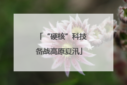 “硬核”科技备战高原夏汛