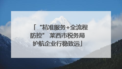 “精准服务+全流程防控” 莱西市税务局护航企业行稳致远