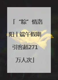 “粽”情洛阳丨端午假期引客超271万人次
