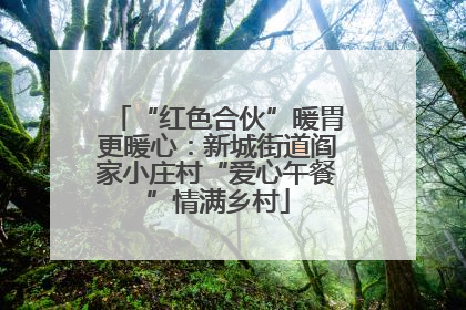 “红色合伙”暖胃更暖心：新城街道阎家小庄村“爱心午餐”情满乡村