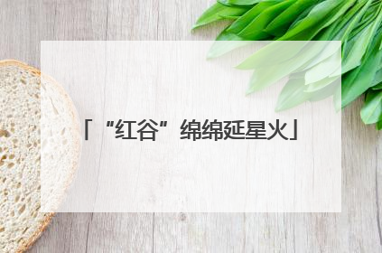 “红谷”绵绵延星火