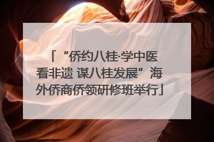 “侨约八桂·学中医 看非遗 谋八桂发展”海外侨商侨领研修班举行