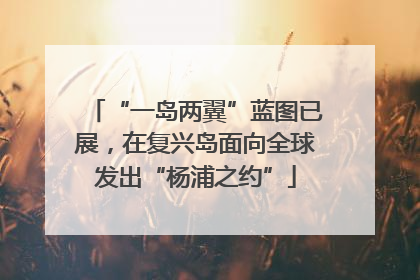 “一岛两翼”蓝图已展，在复兴岛面向全球发出“杨浦之约”