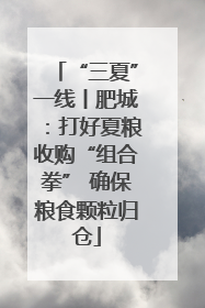 “三夏”一线丨肥城：打好夏粮收购“组合拳” 确保粮食颗粒归仓
