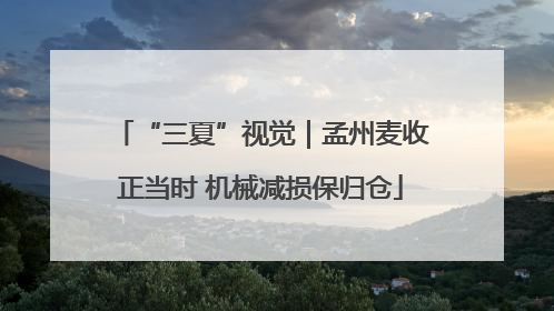 “三夏”视觉｜孟州麦收正当时 机械减损保归仓