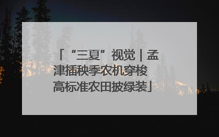 “三夏”视觉｜孟津插秧季农机穿梭 高标准农田披绿装