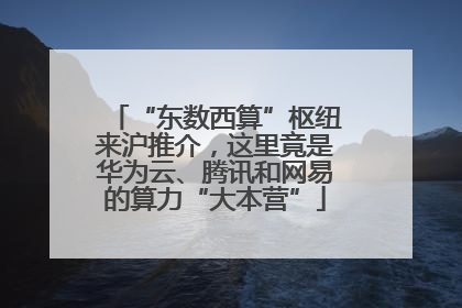 “东数西算”枢纽来沪推介，这里竟是华为云、腾讯和网易的算力“大本营”