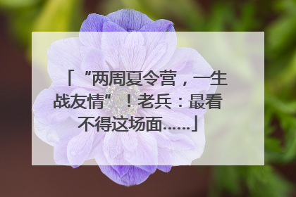 “两周夏令营，一生战友情”！老兵：最看不得这场面……