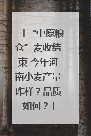 “中原粮仓”麦收结束 今年河南小麦产量咋样？品质如何？