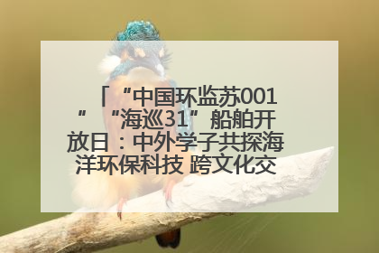 “中国环监苏001”“海巡31”船舶开放日：中外学子共探海洋环保科技 跨文化交流筑牢“蓝色”友谊