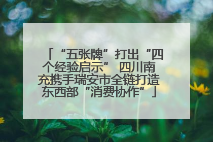 “五张牌”打出“四个经验启示” 四川南充携手瑞安市全链打造东西部“消费协作”