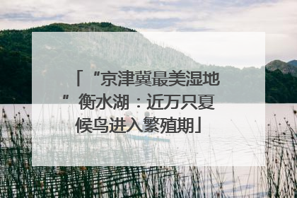 “京津冀最美湿地”衡水湖：近万只夏候鸟进入繁殖期