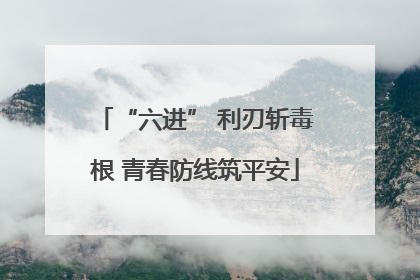 “六进” 利刃斩毒根 青春防线筑平安