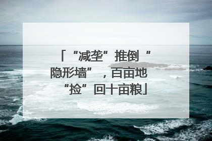 “减垄”推倒“隐形墙”，百亩地“捡”回十亩粮