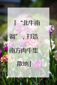 “北牛南调”，打造南方肉牛集散地