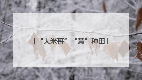 “大米哥”“慧”种田