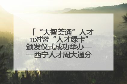“大智荟通”人才π对暨“人才绿卡”颁发仪式成功举办——西宁人才周大通分会场亮点纷呈