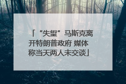 “失望”马斯克离开特朗普政府 媒体称当天两人未交谈