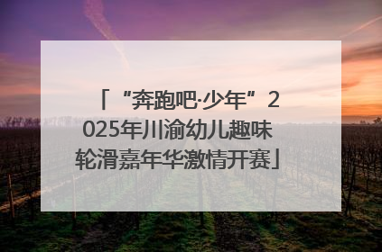 “奔跑吧·少年”2025年川渝幼儿趣味轮滑嘉年华激情开赛