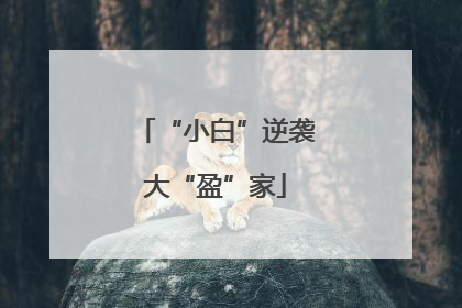 “小白”逆袭大“盈”家