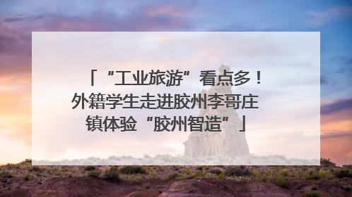 “工业旅游”看点多！外籍学生走进胶州李哥庄镇体验“胶州智造”