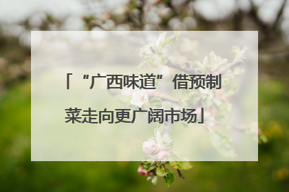 “广西味道”借预制菜走向更广阔市场