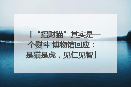 “招财猫”其实是一个熨斗 博物馆回应：是猫是虎，见仁见智