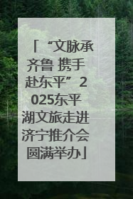 “文脉承齐鲁 携手赴东平”2025东平湖文旅走进济宁推介会圆满举办