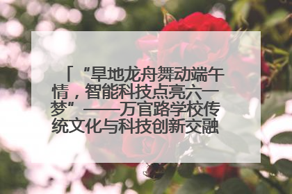 “旱地龙舟舞动端午情，智能科技点亮六一梦”——万官路学校传统文化与科技创新交融的精彩盛宴