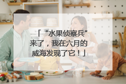 “水果侦察兵”来了，我在六月的威海发现了它！
