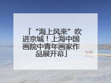 “海上风来”吹进京城！上海中国画院中青年画家作品展开幕