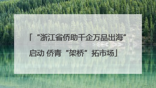 “浙江省侨助千企万品出海”启动 侨青“架桥”拓市场