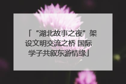“湖北故事之夜”架设文明交流之桥 国际学子共叙东游情缘