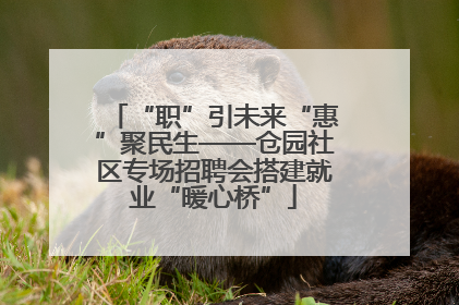 “职”引未来“惠”聚民生——仓园社区专场招聘会搭建就业“暖心桥”