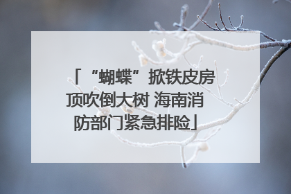 “蝴蝶”掀铁皮房顶吹倒大树 海南消防部门紧急排险