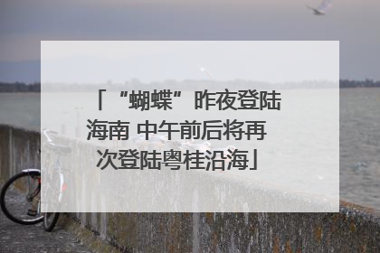 “蝴蝶”昨夜登陆海南 中午前后将再次登陆粤桂沿海