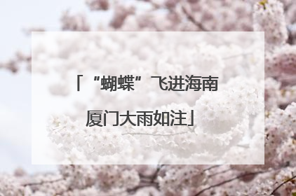 “蝴蝶”飞进海南 厦门大雨如注