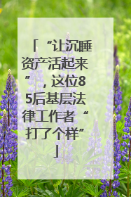 “让沉睡资产活起来”，这位85后基层法律工作者“打了个样”